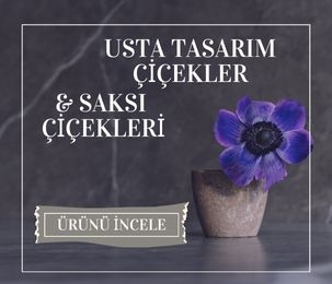 SAKSI ÇİÇEKLERİ