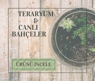 Terarium ve Canlı Bahçeler